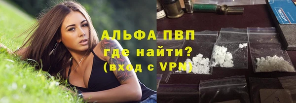 прущие грибы Бугульма