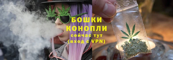 прущие грибы Бугульма