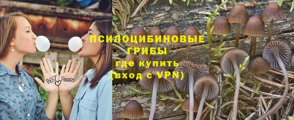 прущие грибы Бугульма