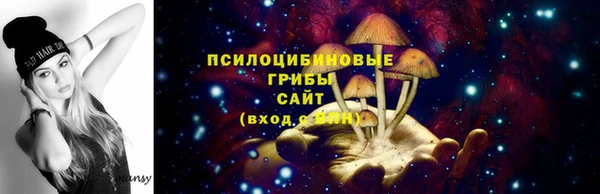 прущие грибы Бугульма
