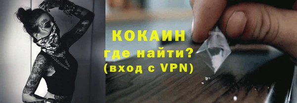прущие грибы Бугульма