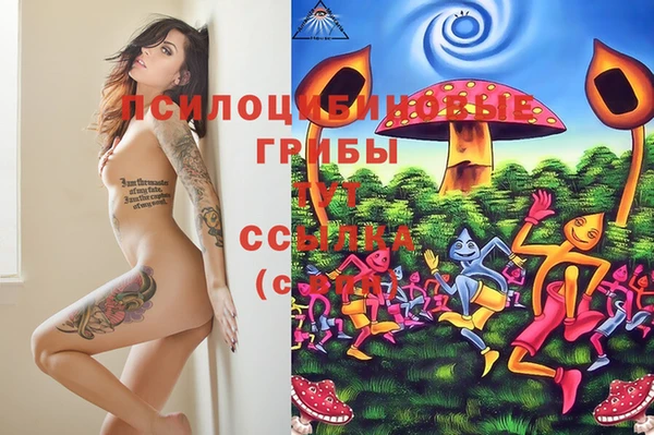 синтетический гашиш Бородино